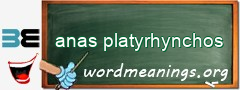 WordMeaning blackboard for anas platyrhynchos